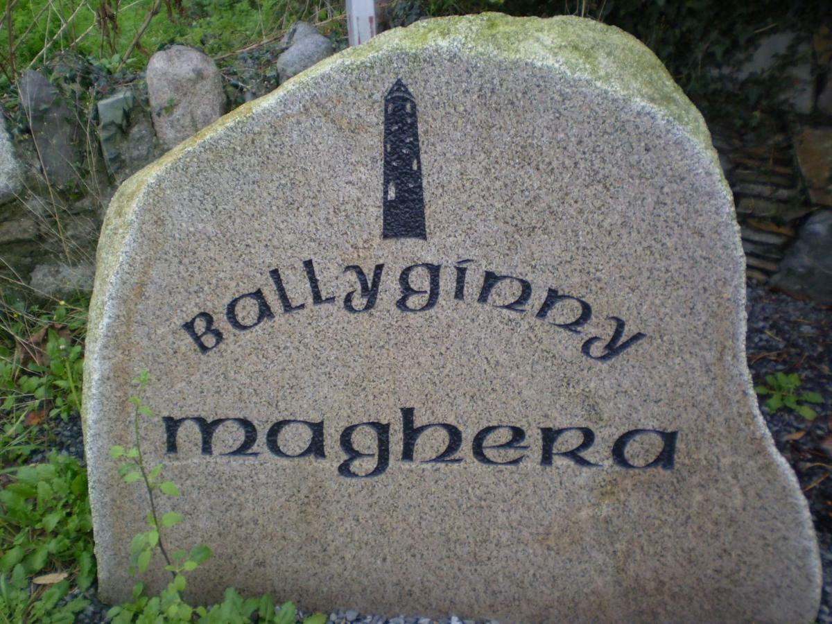 Ballyginny Cottage Maghera  Экстерьер фото